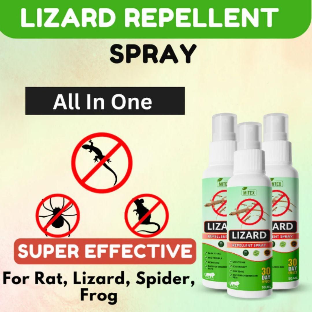 Lizard Repellent Spreay 50ML (Pack of 3)